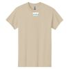 Heavy Cotton ™ 100% Cotton T Shirt Thumbnail